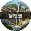 碧桂園